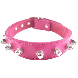 Pink Nut Collar