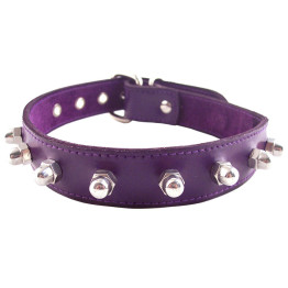 Purple Nut Collar