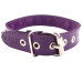 Purple Nut Collar