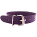 Purple Studded ORing Studded Collar